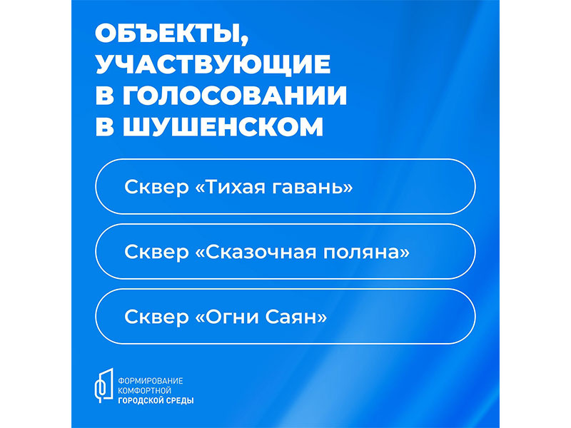 В крае продолжается голосование по программе «Формирование комфортной городской среды» нацпроекта «Жильё и городская среда», инициированного Президентом РФ.