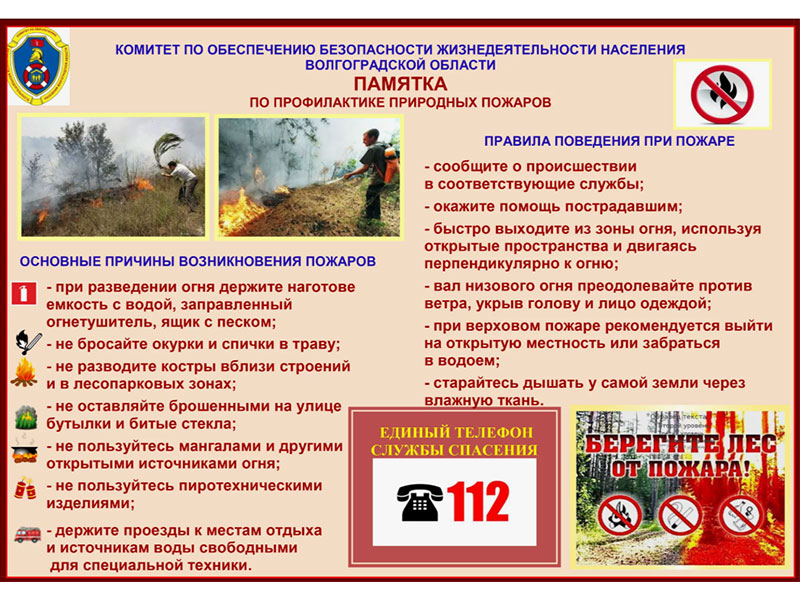 Ландшафтный и лесной пожары.