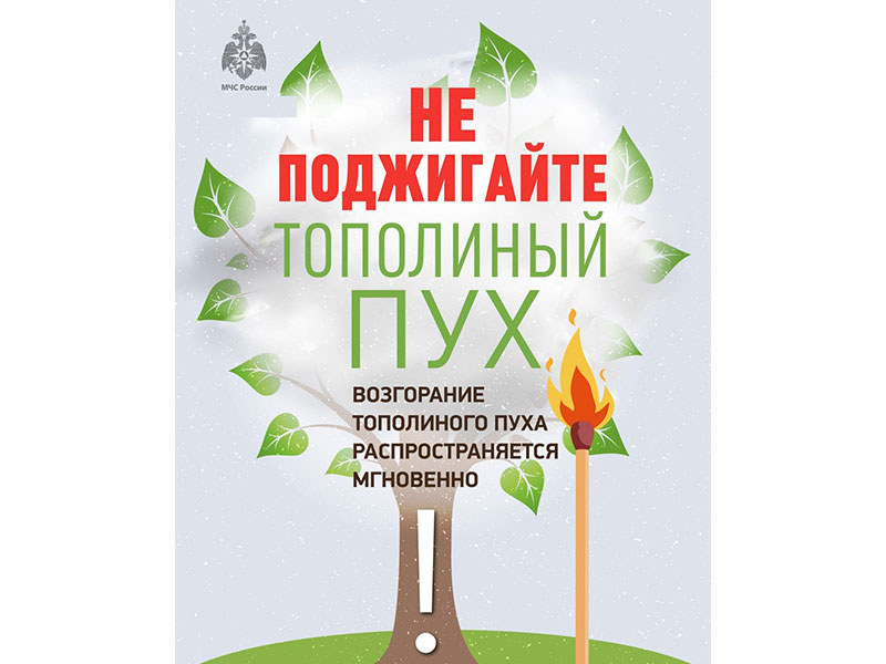 Не поджигайте тополиный пух.