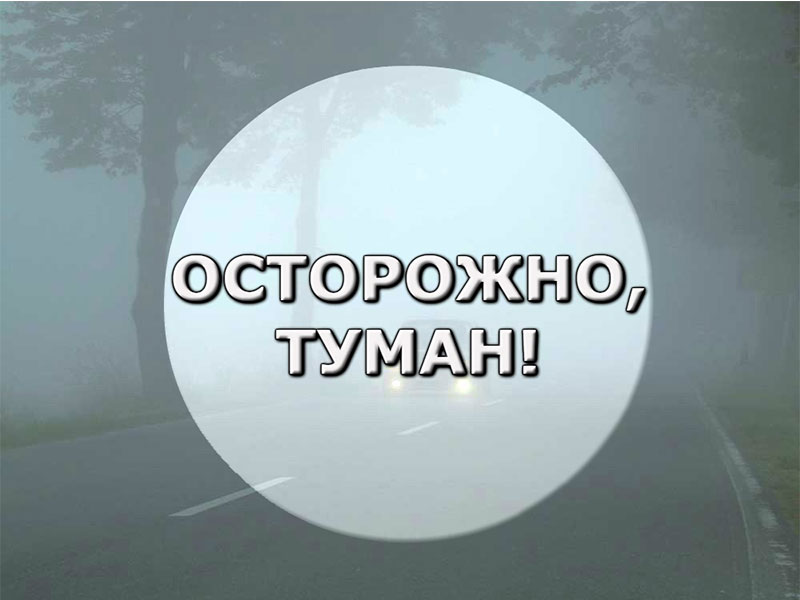 Осторожно, туман!.