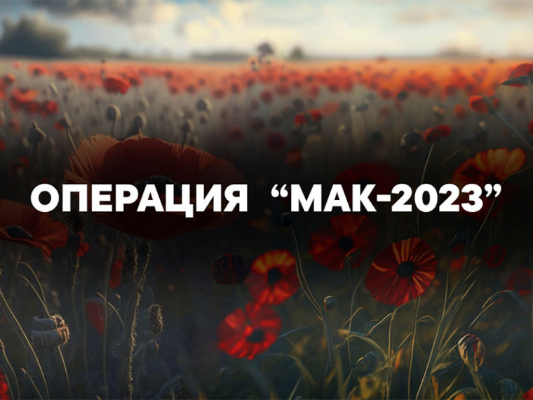 Сотрудники полиции проводят 2 этап оперативно-профилактической операции «Мак». Сотрудники полиции проводят 2 этап оперативно-профилактической операции «Мак».