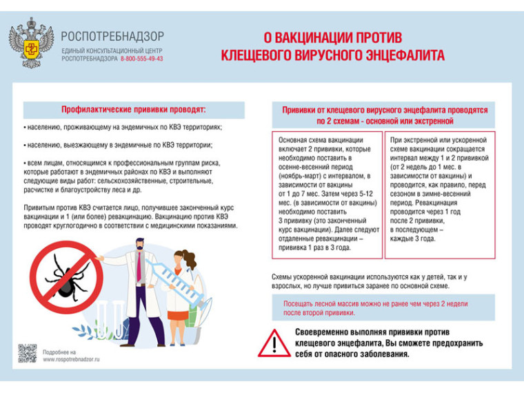 О вакцинации против клещевого вирусного энцефалита. О вакцинации против клещевого вирусного энцефалита.