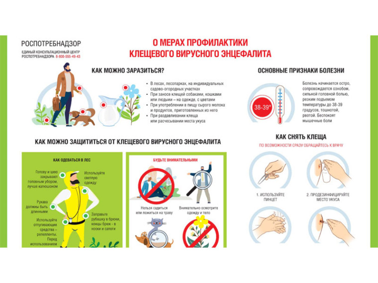 О мерах профилактики клещевого вирусного энцефалита. О мерах профилактики клещевого вирусного энцефалита.