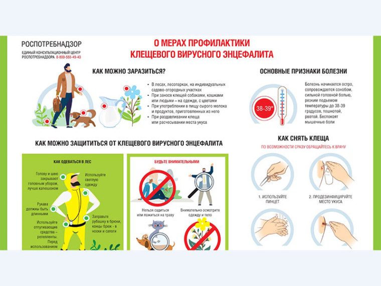 О мерах профилактики клещевого вирусного энцефалита. О мерах профилактики клещевого вирусного энцефалита.